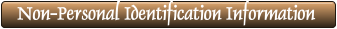 Non-Personal Identification Information